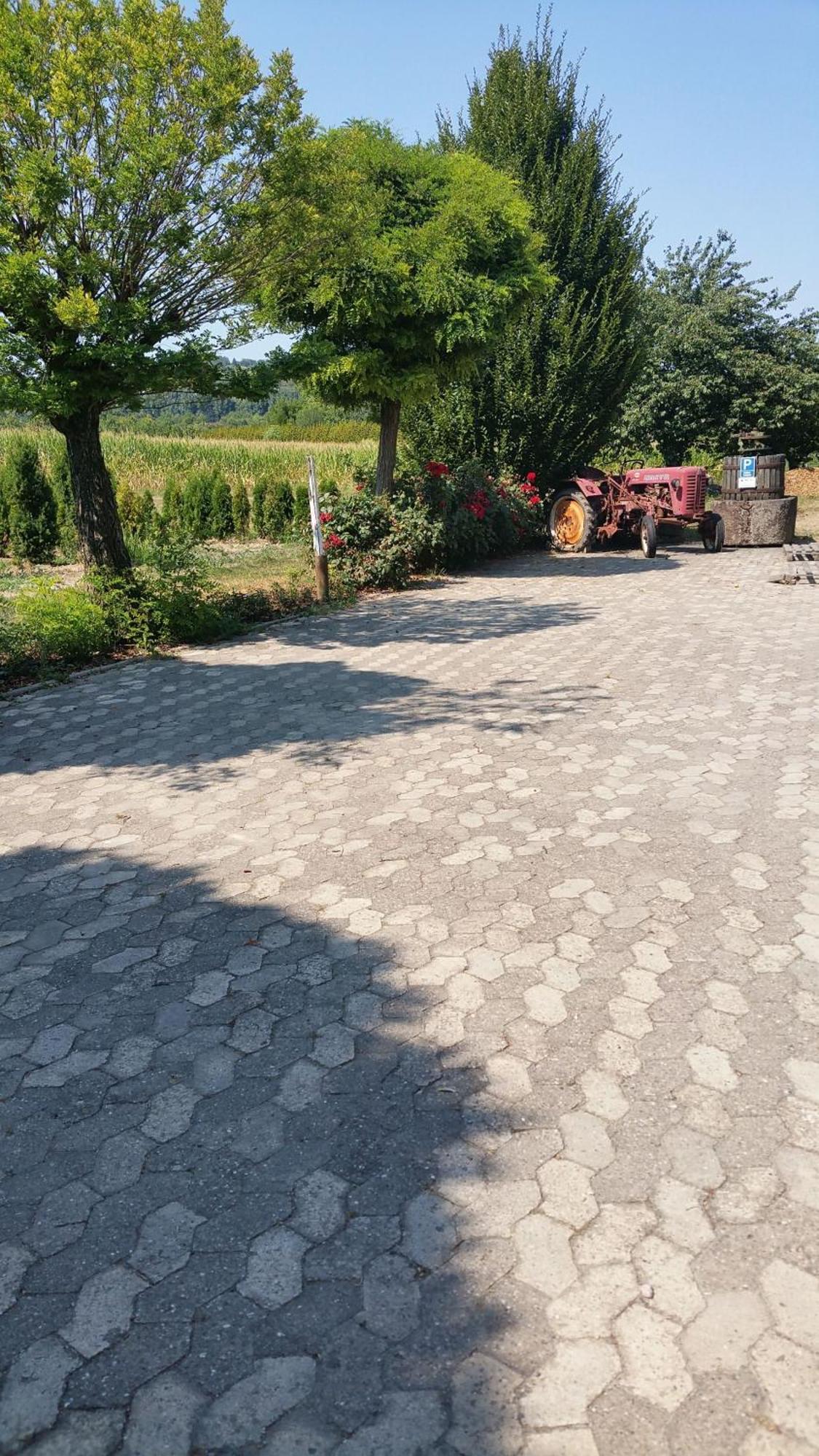 Ferienwohnung Rombachs Spatzennest Herbolzheim Esterno foto