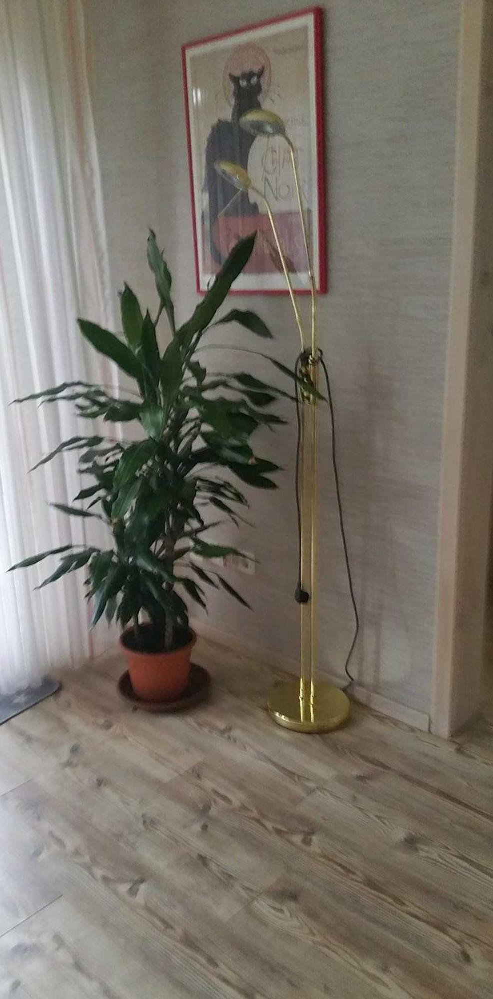 Ferienwohnung Rombachs Spatzennest Herbolzheim Esterno foto